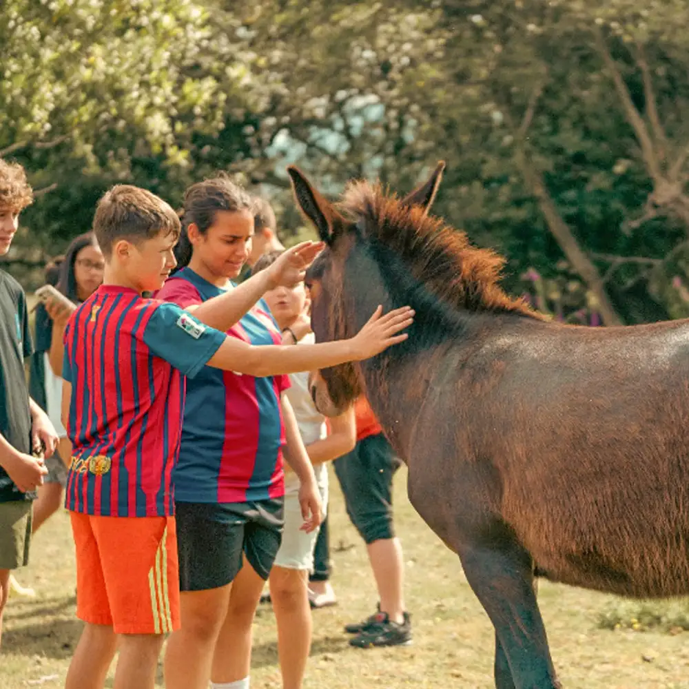Campamento Solidario | Edad 8-12 años | 17-21 Agosto