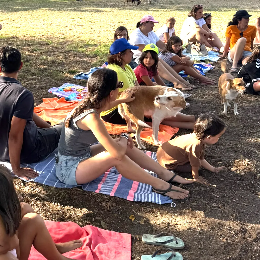 Campamento Solidario | Edad 12-17 años | 27-31 Julio